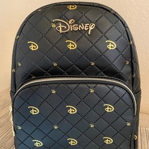 biaggi paksak packable backpack